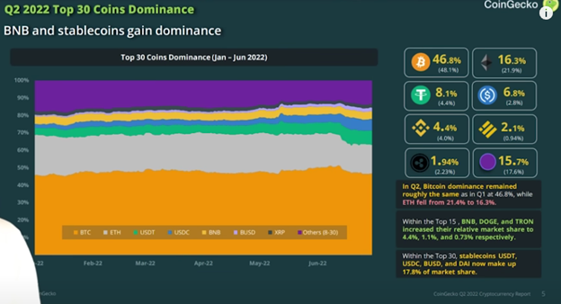 Have You SEEN CoinGecko Q2 Report Report?!