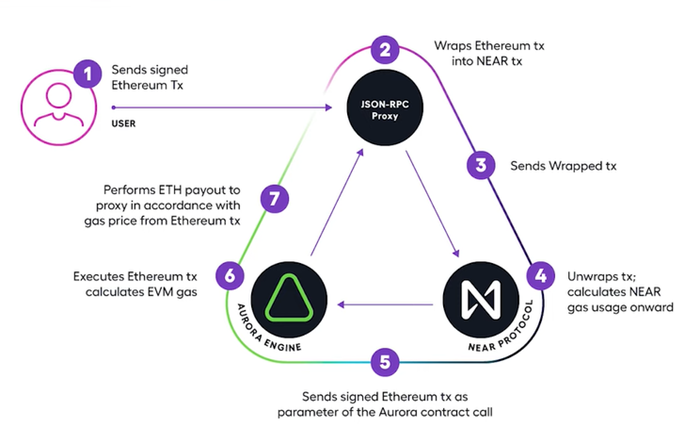SOLANA vs. NEAR: Which is Best? | Complete Comparison!