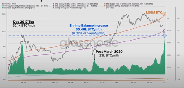 LAST CHANCE TO BUY 1 WHOLE BITCOIN data