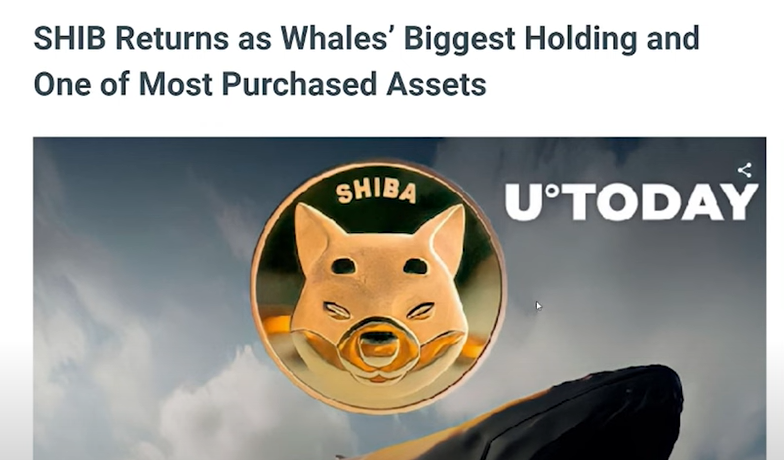 SHIBA INU COIN LATEST NEWS