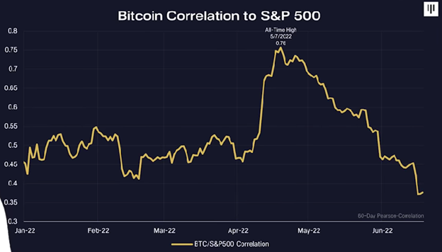 Crypto Hedge Fund Report data