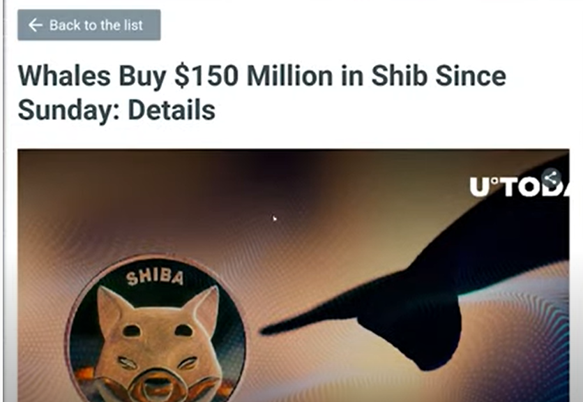 SHIBA INU COIN – THIS IS BIG ?
