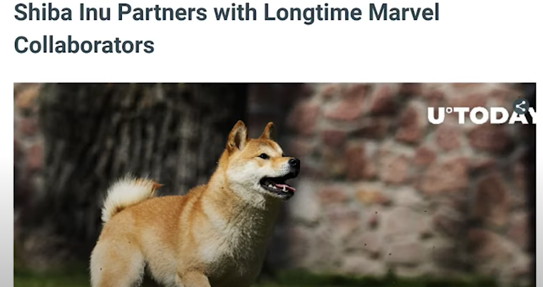 SHIBA INU COIN&nbsp;