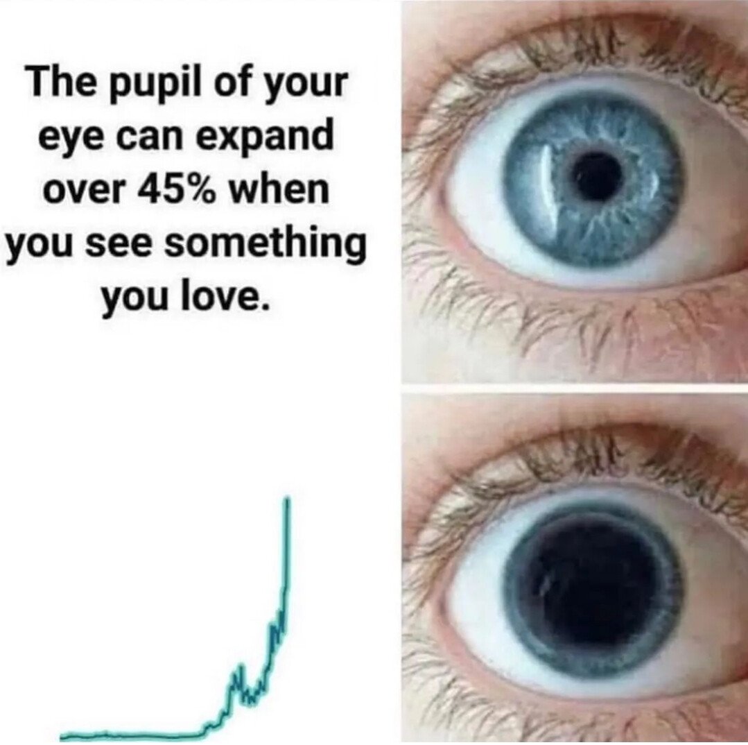 Is it Too Late to Buy?