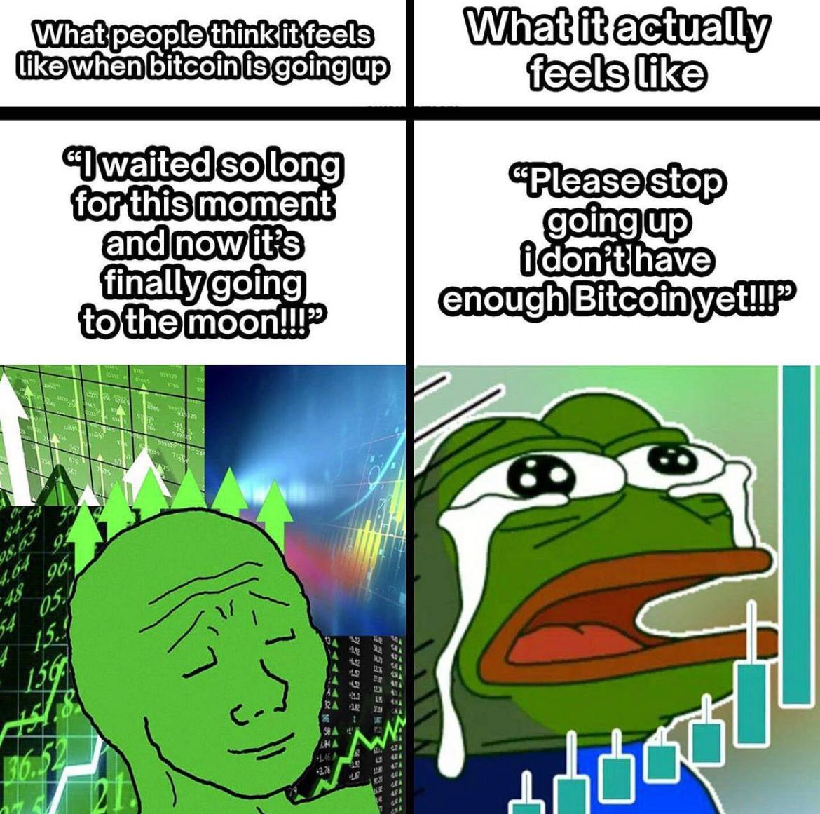 BTC pumping ALTs trying to keep up.